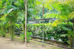 Meadows @ Peirce (D26), Condominium #112393412